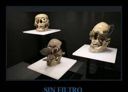 Enlace a Cráneos aztecas expuestos en el museo Templo Mayor, Ciudad de México
