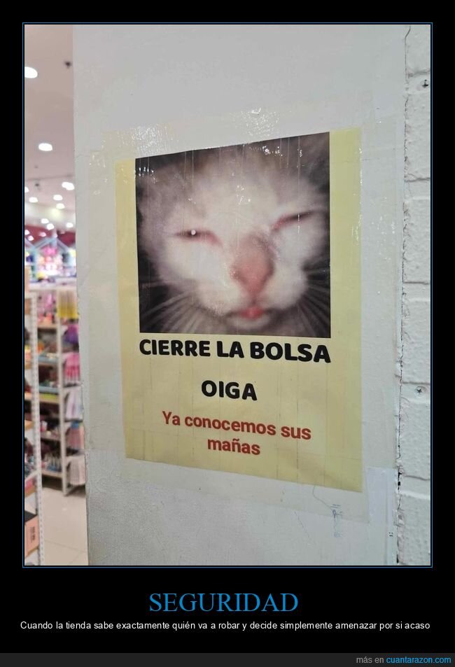 gato,supermercado,cartel,bolsa,pillo