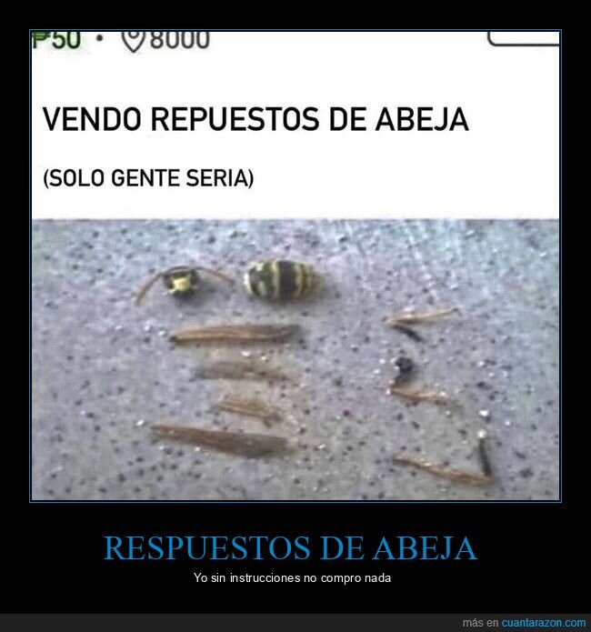 abeja,repuestos,anuncio,despiece,chapuza