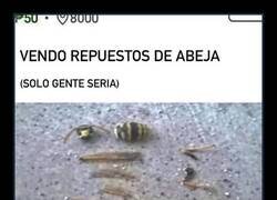 Enlace a Solo gente seria: repuestos de abeja, montaje incluido