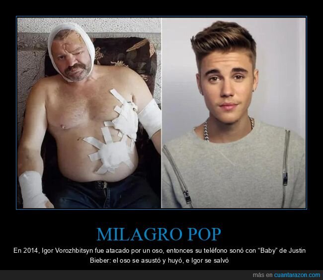 oso,ataque,Bieber,salvaci&oacute;n,tono