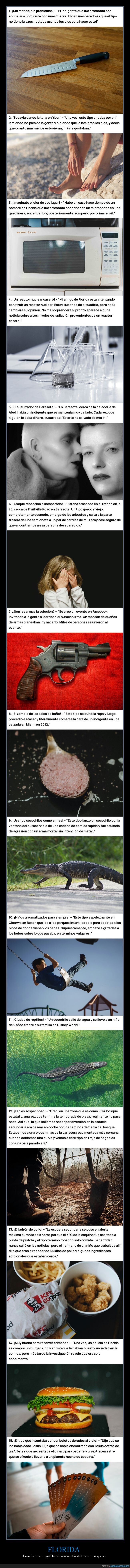 Florida,an&eacute;cdotas,locura,absurdo,sorpresa