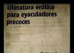 Enlace a Mi vida sexual: Capítulo I… fin