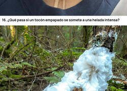 Enlace a 25 consecuencias de aplicar la acción 