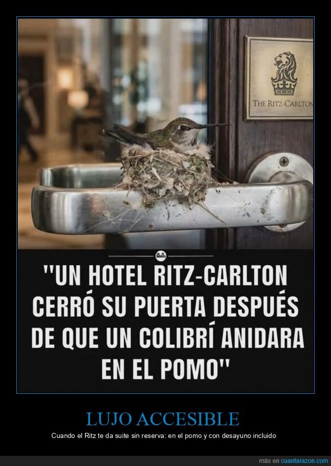 Ritz,hotel,colibr&iacute;,nido,lujo
