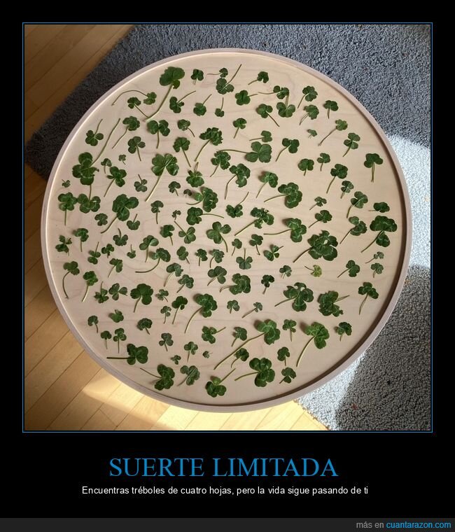 treboles,suerte,coleccion,casualidad,naturaleza