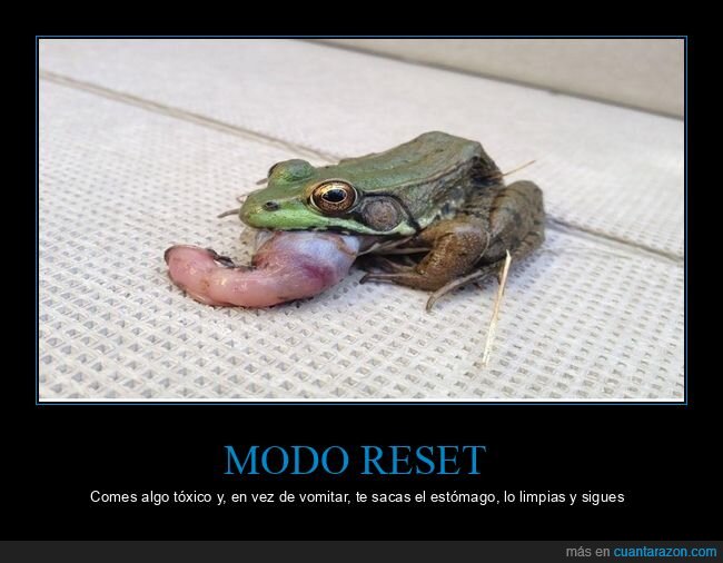 rana,estomago,vomito,toxico,supervivencia