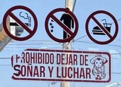 Enlace a Prohibido rendirse, pero también vivir