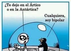 Enlace a Soy bipolar: me adapto a cualquier polo del planeta