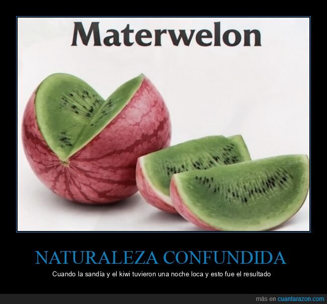 sand&iacute;a,kiwi,fruta,fusi&oacute;n,expectativas