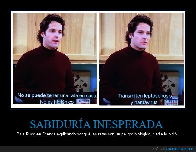 Friends,rata,enfermedad,subt&iacute;tulos,pandemia