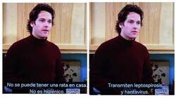 Enlace a Friends en 2024 hits different cuando sabes lo que es el hantavirus