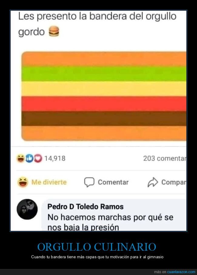 hamburguesa,bandera,orgullo,dieta,colores
