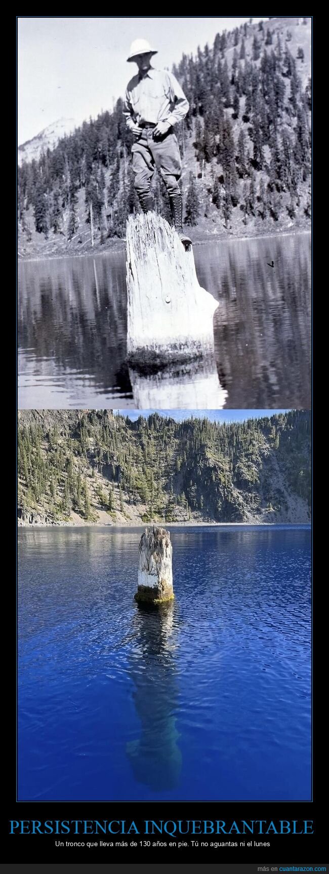 flotante,resistencia,naturaleza,lago,veterano