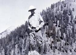 Enlace a El Anciano del Lago: un abeto de 9 metros de altura que flota verticalmente en el lago Crater desde la década de 1890