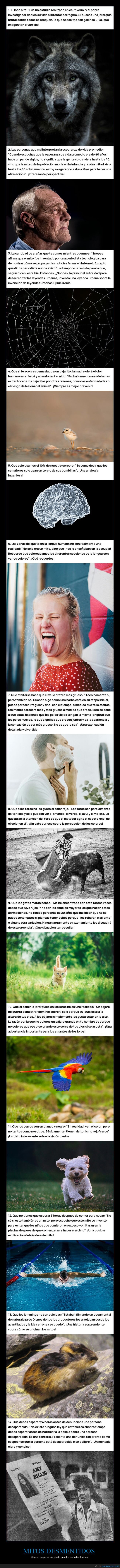 mitos,creencias,verdad,enga&ntilde;o,confusi&oacute;n