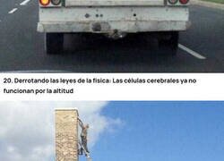 Enlace a 20 fotos donde el sentido común se va por la ventana