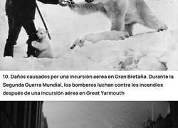 Enlace a 15 fotos fascinantes de la historia que casi nunca se comparten