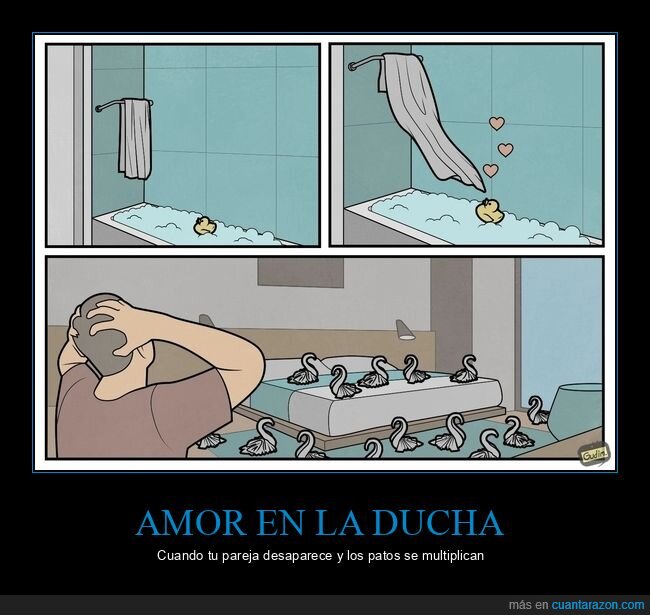 relaciones,decepciones,patos,desastres,domestico