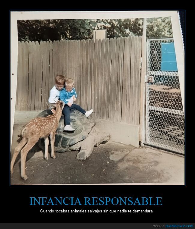 infancia,nostalgia,animales,riesgo,setentas