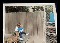 Enlace a Mi hermano sosteniéndome mientras montamos una tortuga y acariciamos un ciervo. Principios de los años 70 en el Zoológico Infantil de San Diego