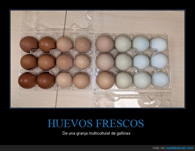 huevos,granja,desperdicio,compra