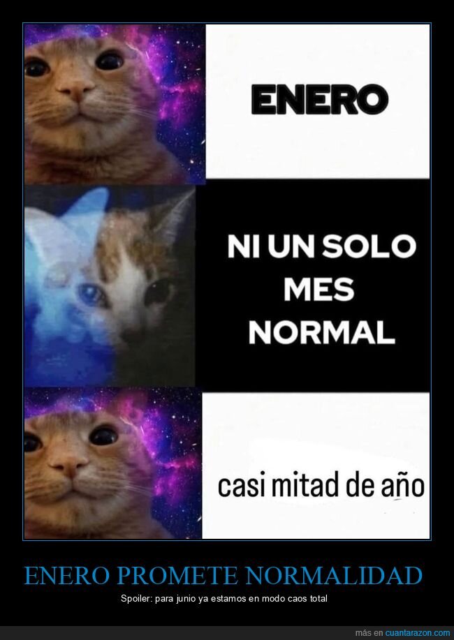 2026,caos,a&ntilde;o,expectativas,realidad