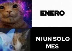 Enlace a Enero: el mes que miente mejor