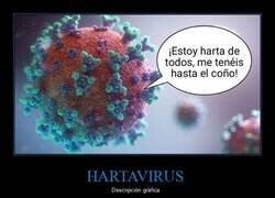 Enlace a Yo también estaría harto