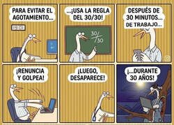 Enlace a La regla del 30/30: inútil por treinta años
