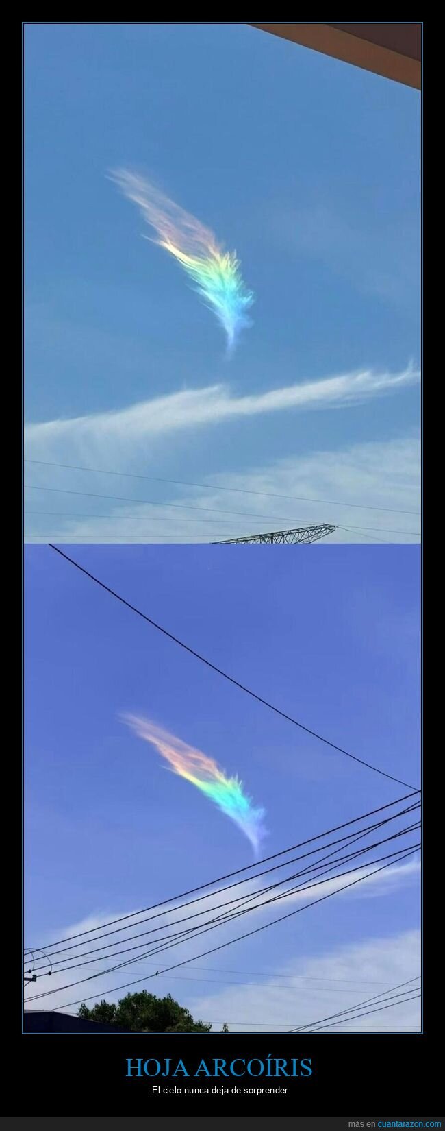 cielo,decepciones,naturaleza,Jiangyin,falsedad