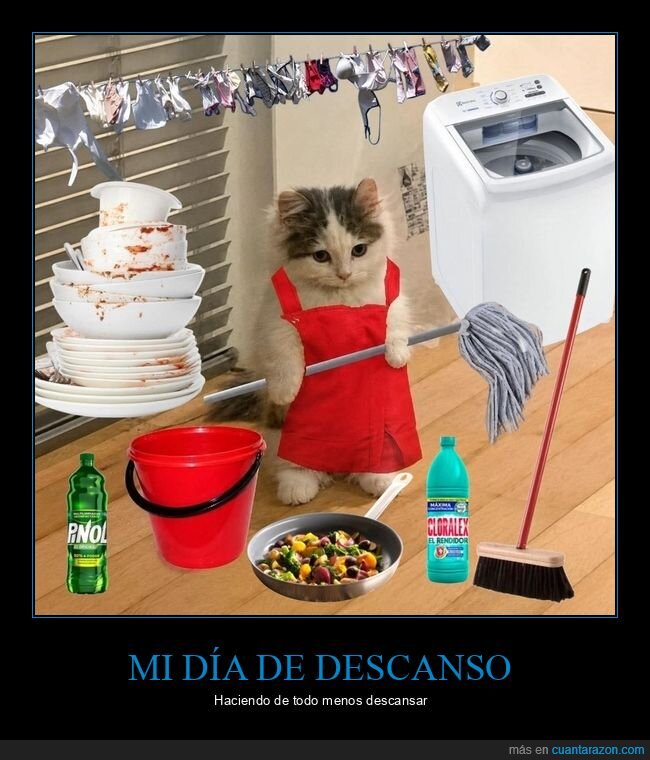 descanso,limpieza,procrastinaci&oacute;n,hogar,caos