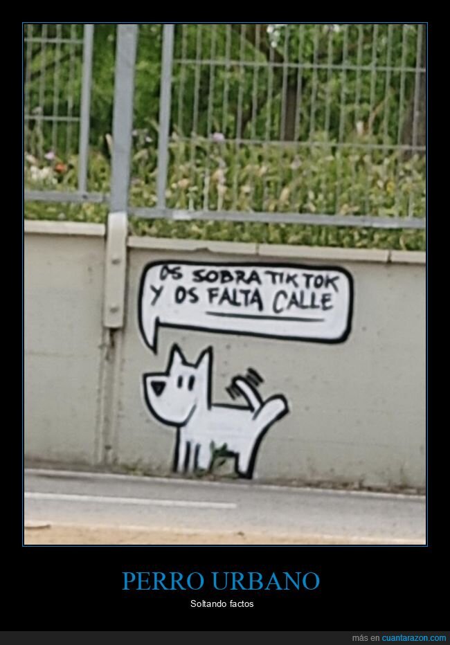 perro urbano,calle,tiktok,faltar,sobrar