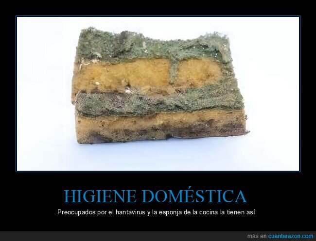 cocina,suciedad,higiene,hantavirus,bacterias