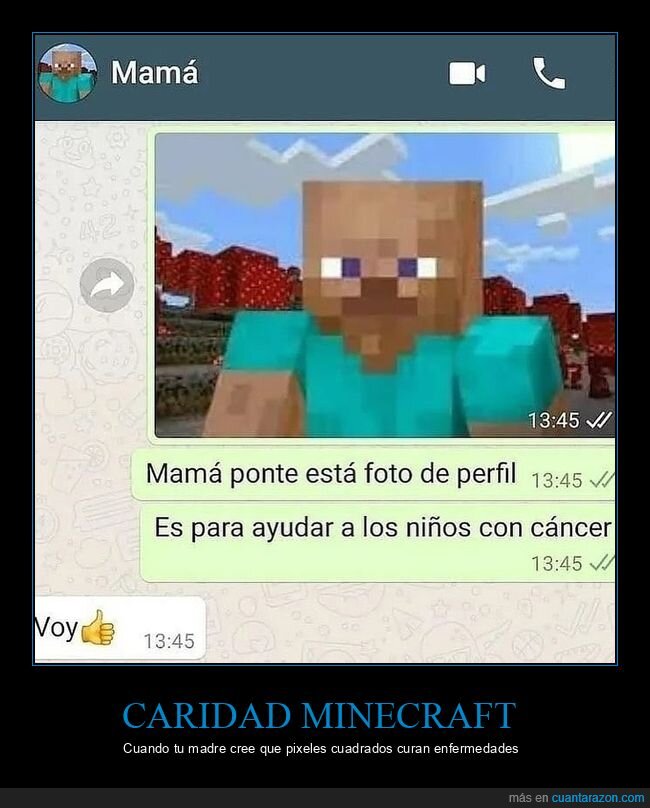WhatsApp,Mam&aacute;s,Minecraft,Confusi&oacute;n,Solidaridad