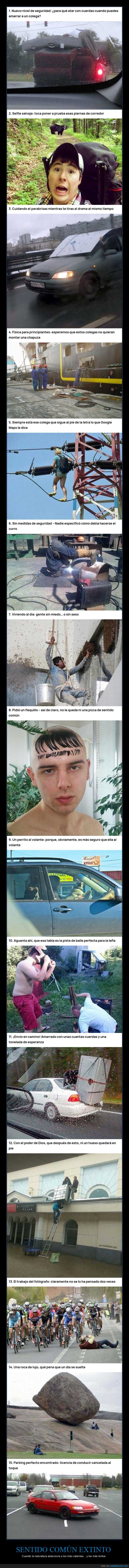 fracaso,peligro,decisiones,caos,absurdo