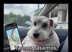 Enlace a Cuando dices que sabes usar Maps