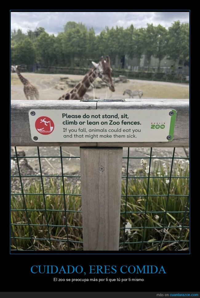 Zoo,Advertencia,Jirafas,Dub&iacute;n,Seguridad