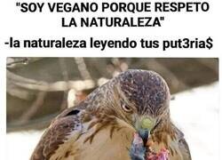 Enlace a Respeto selectivo