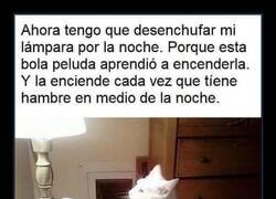 Enlace a Es como el pulsador de los hoteles, clinc clinc