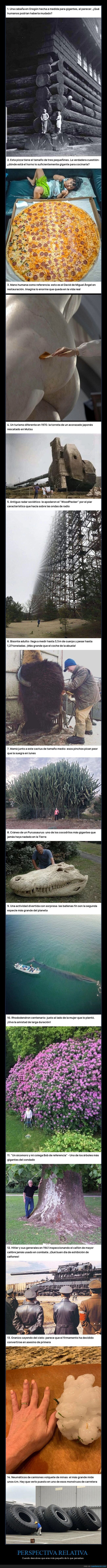 escala,proporci&oacute;n,gigante,diminuto,comparaci&oacute;n