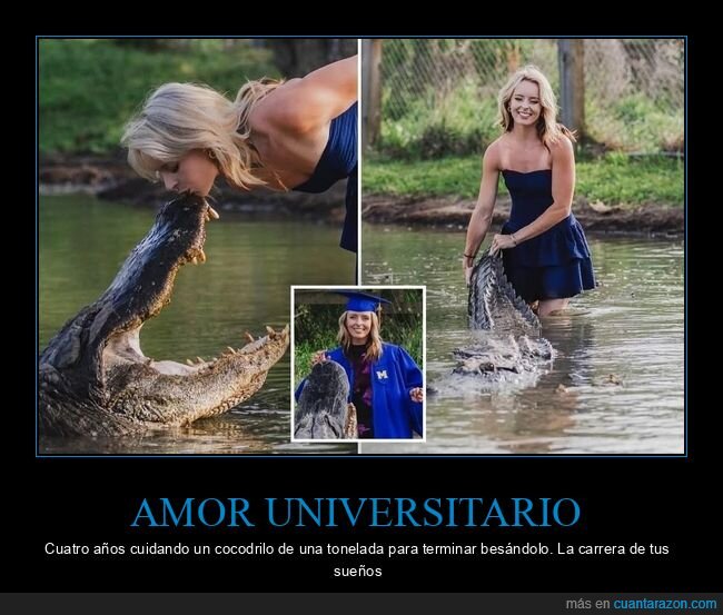 cocodrilo,universidad,despedida,alig&aacute;tor,graduaci&oacute;n