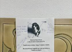 Enlace a Bruno encontró mejor marketing que cualquier agencia