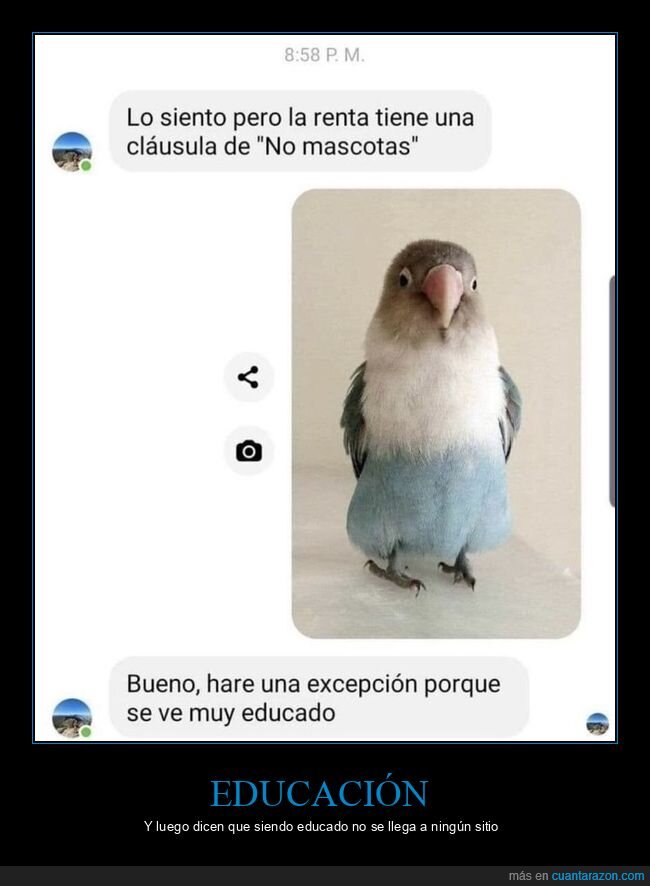 alquiler,educaci&oacute;n,mascotas,contrato,realidad
