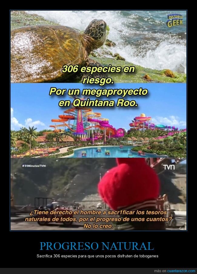 Quintana Roo,Megaproyecto,Extinci&oacute;n,Desarrollo,Naturaleza