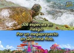 Enlace a El precio del entretenimiento