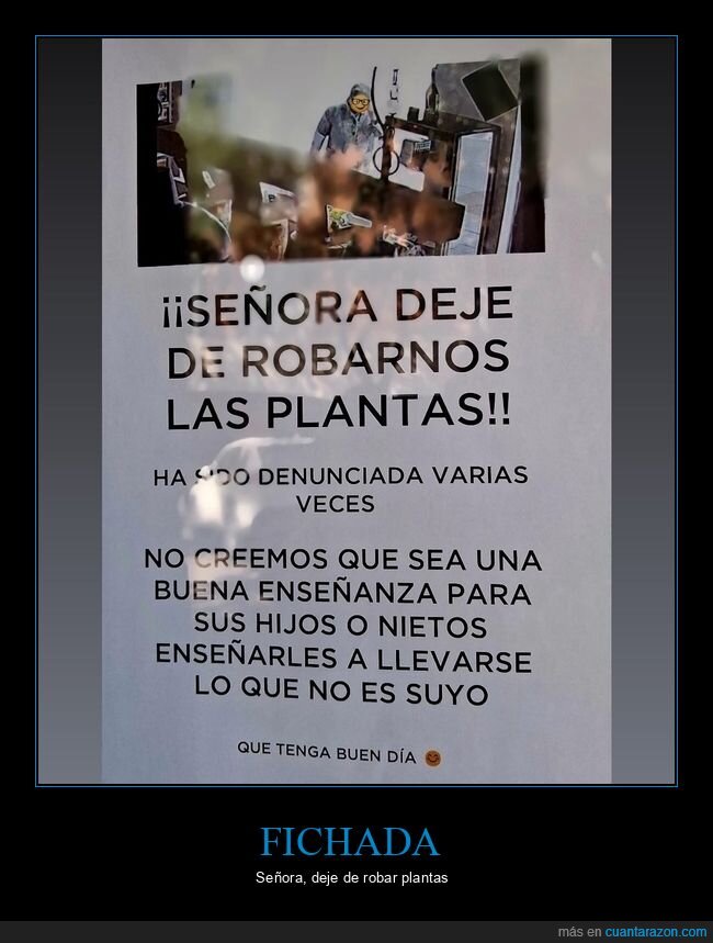 robos,plantas,denuncia,educaci&oacute;n,delincuencia