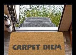 Enlace a Carpet Diem: el epitafio de tu entrada