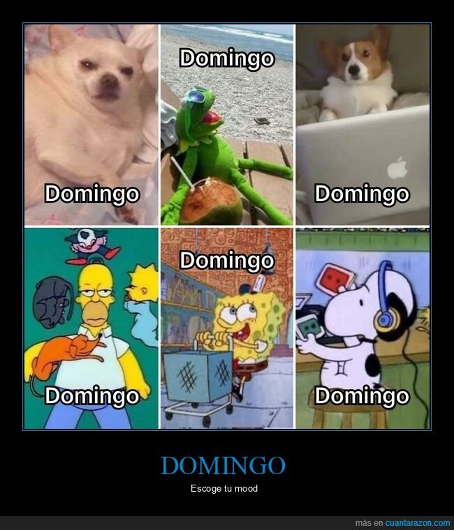 domingo,procrastinaci&oacute;n,realidad,descanso,lunes