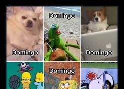 Enlace a ¿De qué domingo eres tú?